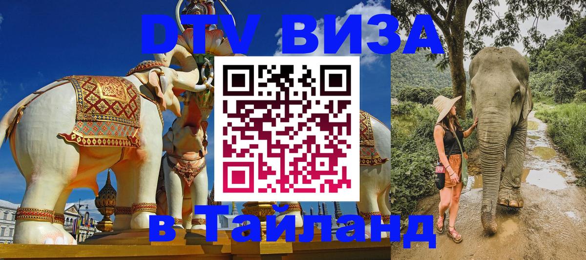 Оформление DTV визы под ключ: стоимость и тарифы, только загранпаспорт - 